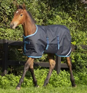 Amigo Foal Rug 50g Ripstop Navy
