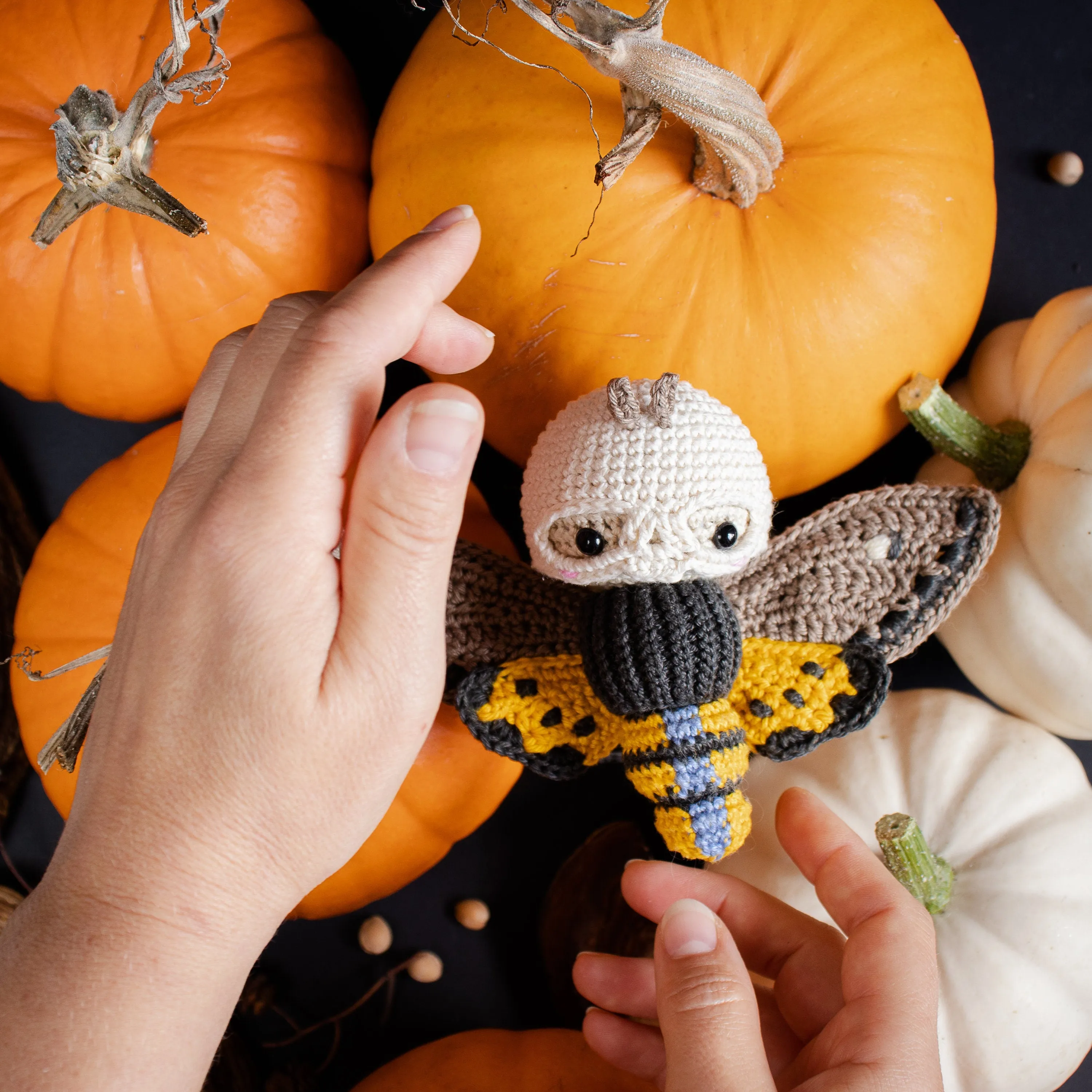 Amigurumi Crochet Kit . Death's Head Moth