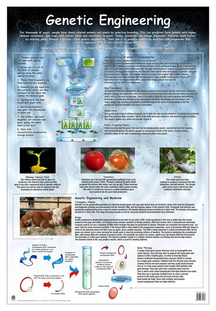 CHART GENETIC ENGINEERING