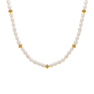 Chic Freshwater Pearl Necklace