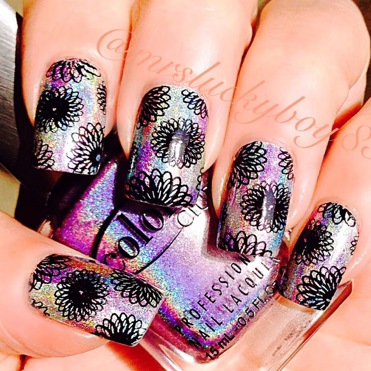 Collection 3 - Uber Chic Stamping Plates