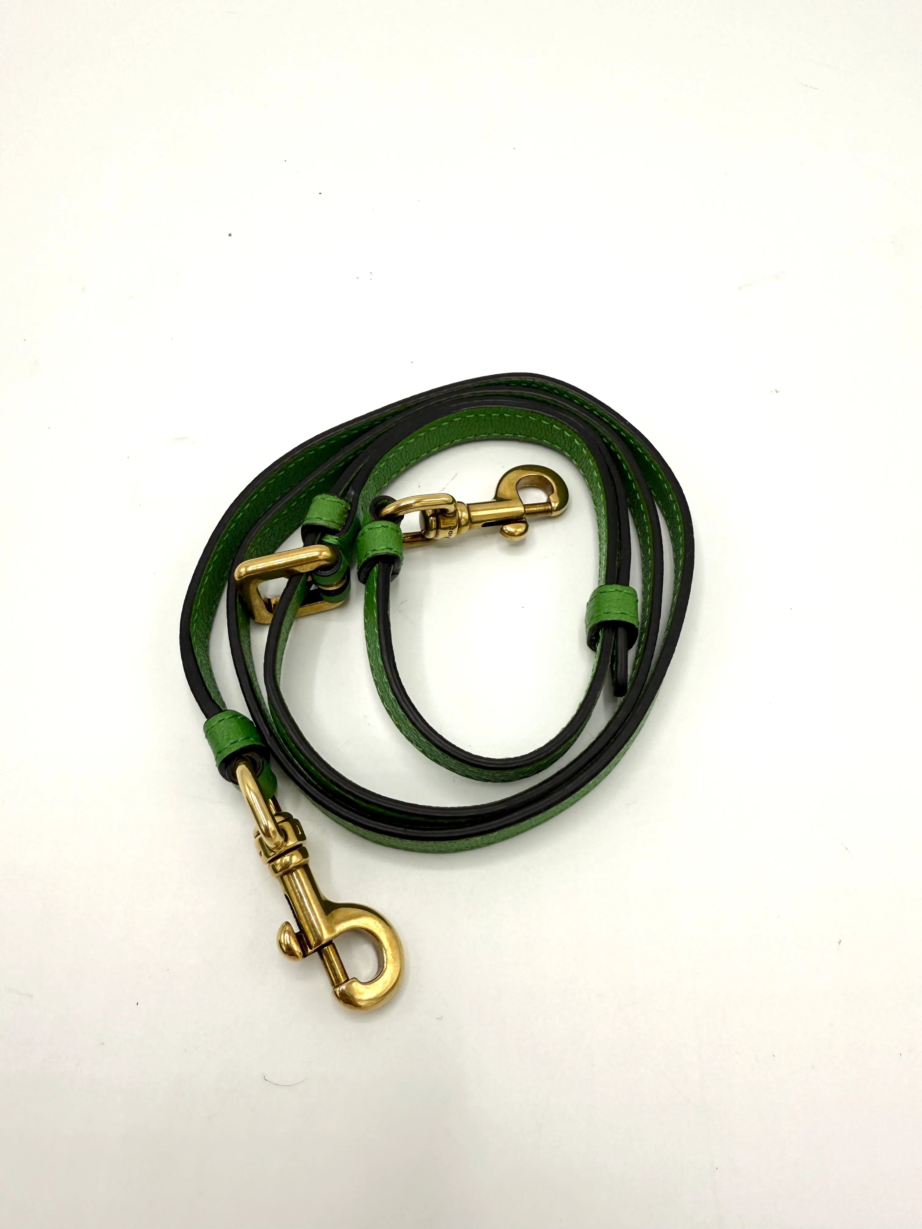Dior Rare Green GHW Micro Saddle Bag
