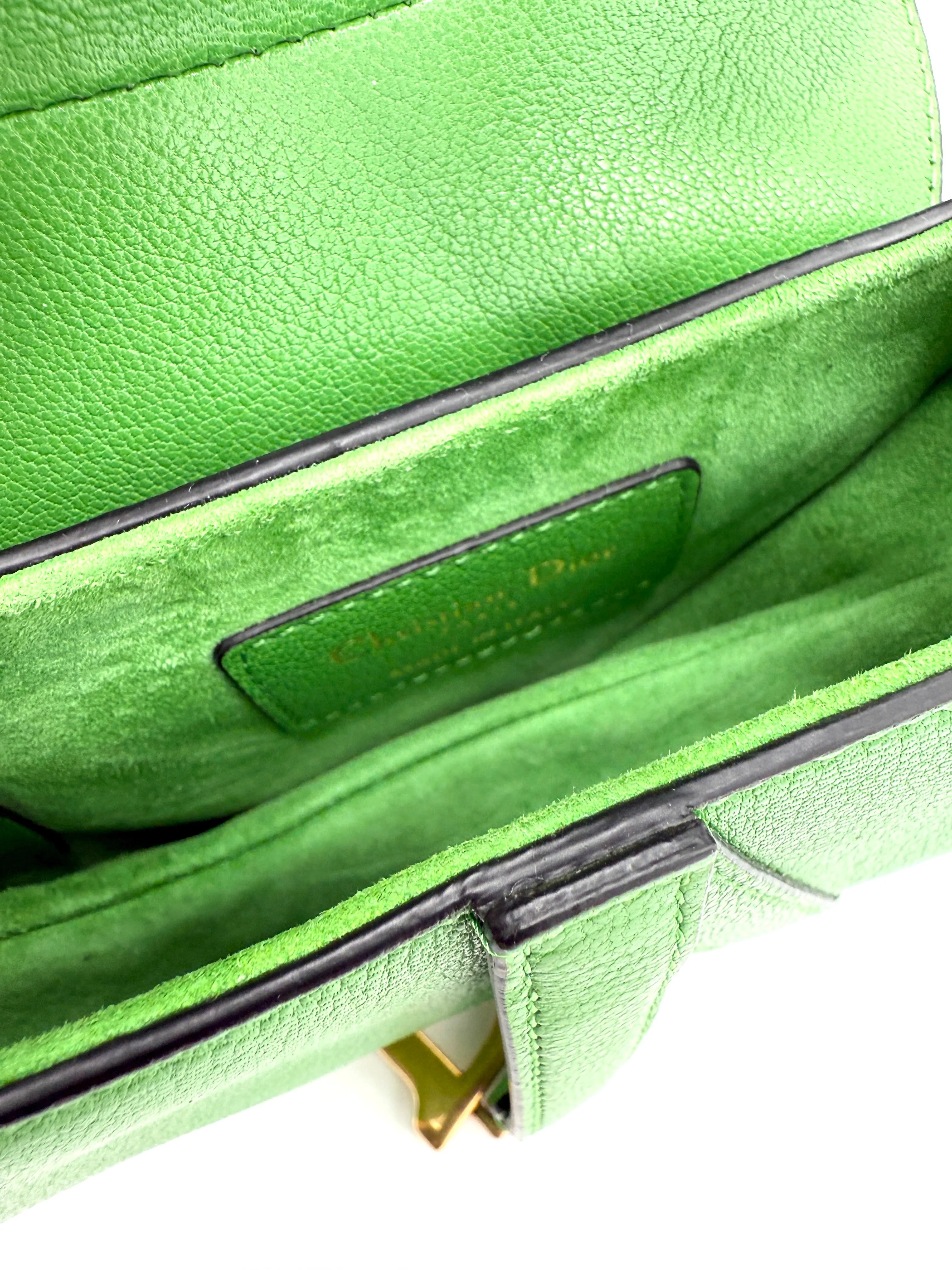 Dior Rare Green GHW Micro Saddle Bag