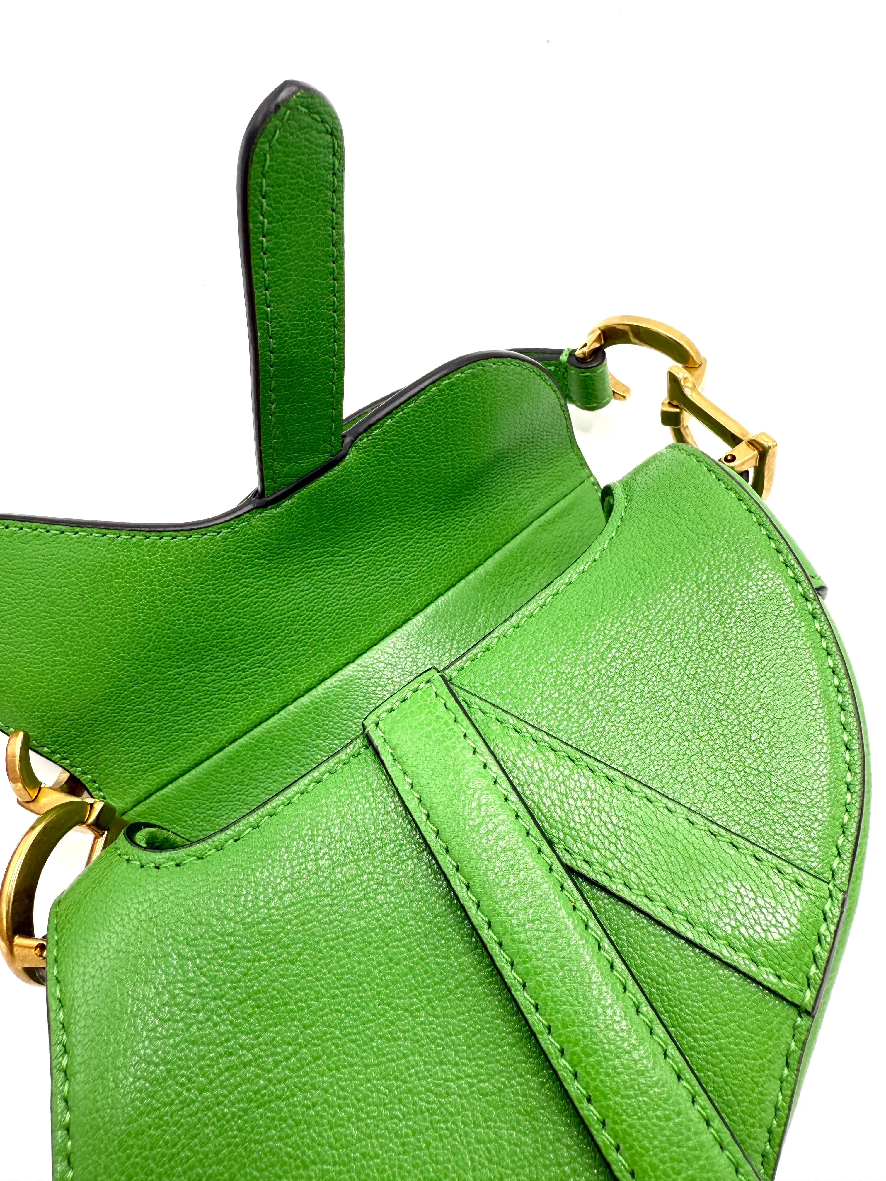 Dior Rare Green GHW Micro Saddle Bag