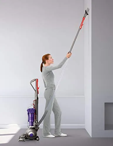 Dyson DC40 Animal Lightweight