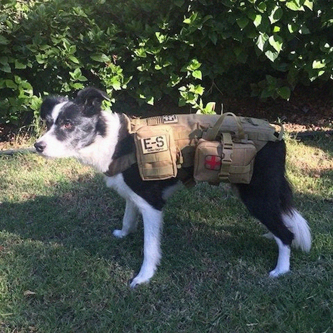 Echo-Sigma “Dog Pack” Emergency Kit
