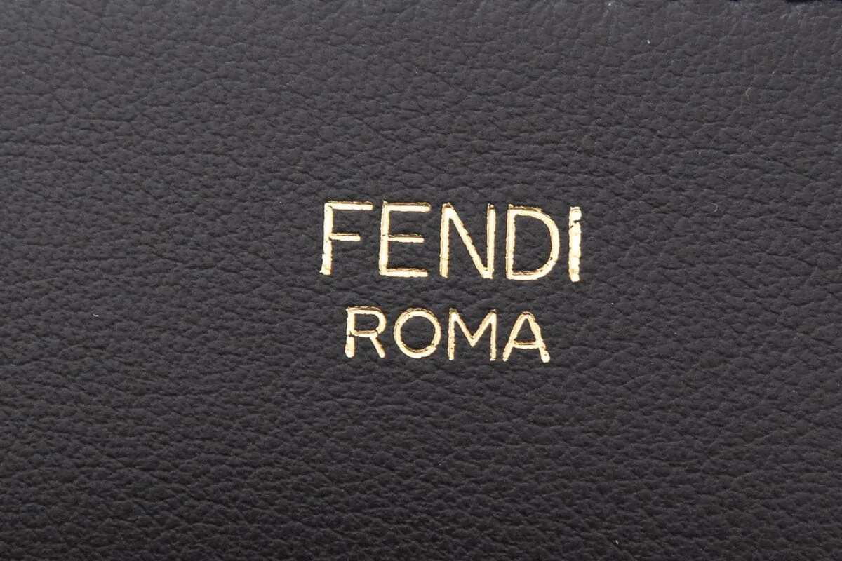 Fendi Black Monogram Mon Tresor Plexi Bucket Bag