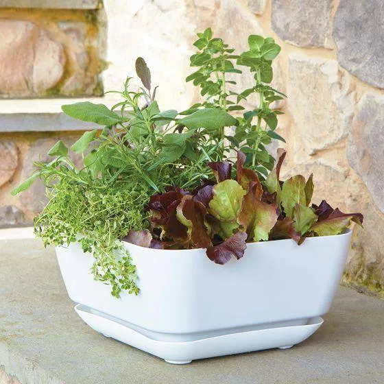 Garden Planter Taupe - 12-inches