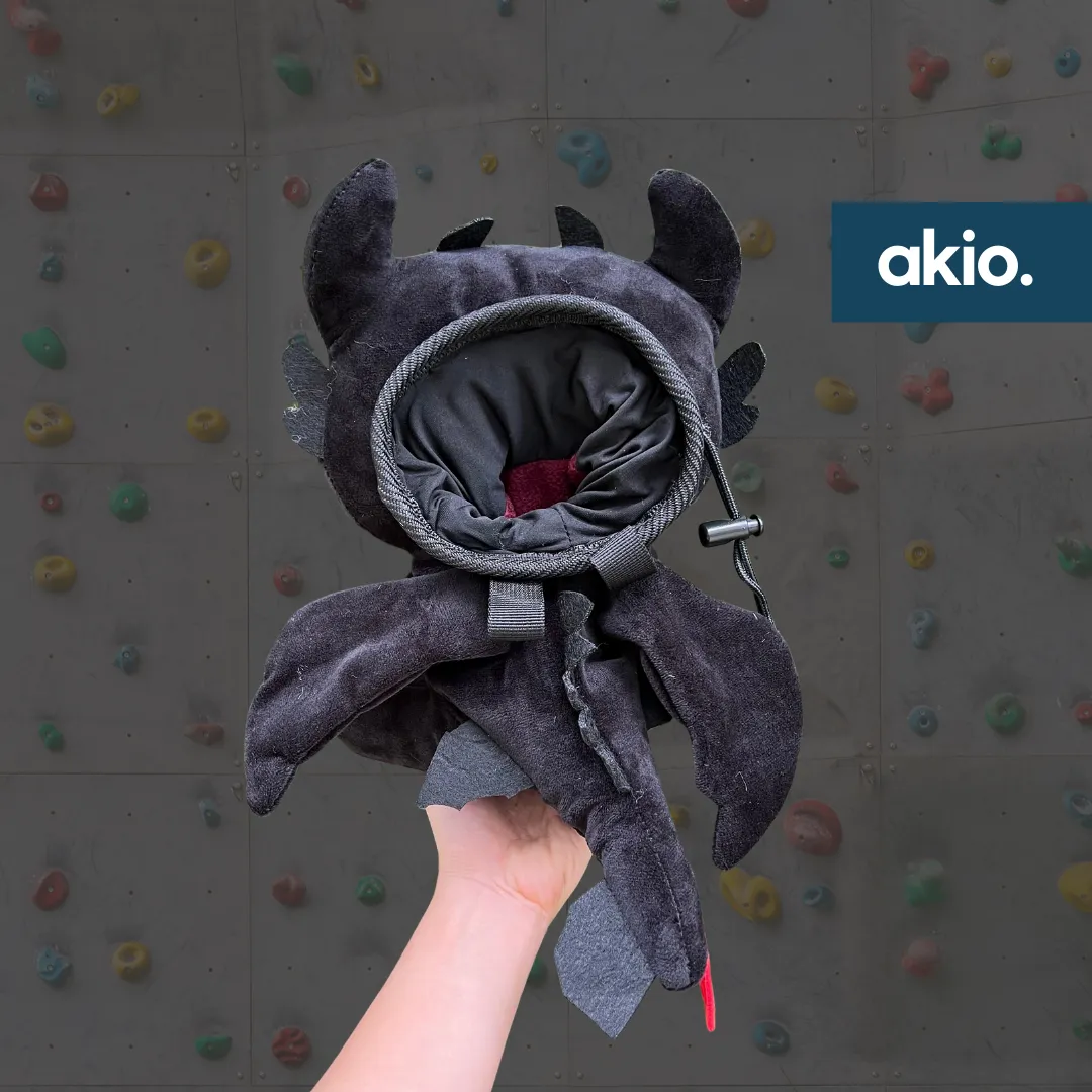 How To Train Your Dragon (HTTYD) Toothless Night Fury Chalk Bag