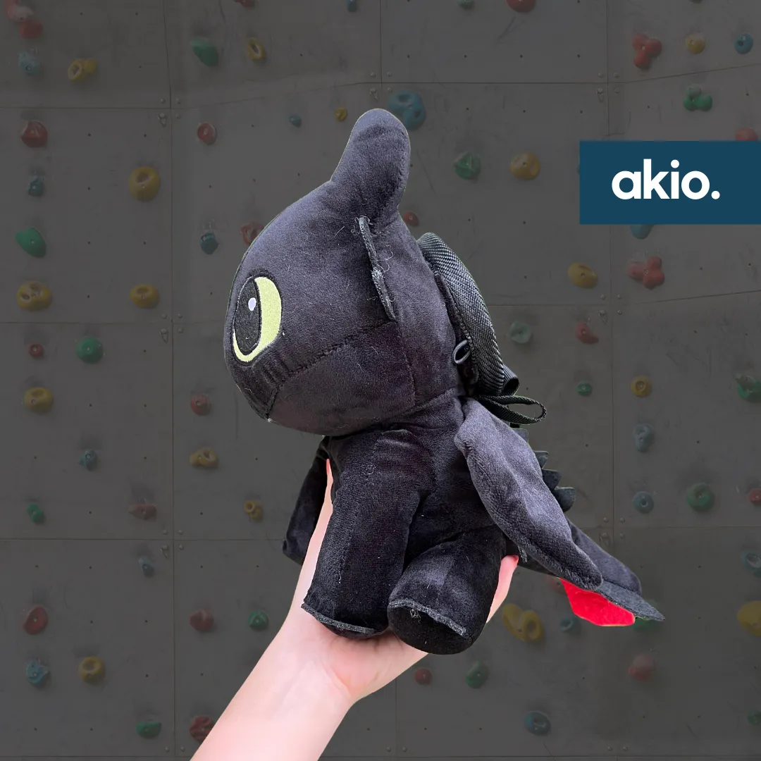How To Train Your Dragon (HTTYD) Toothless Night Fury Chalk Bag