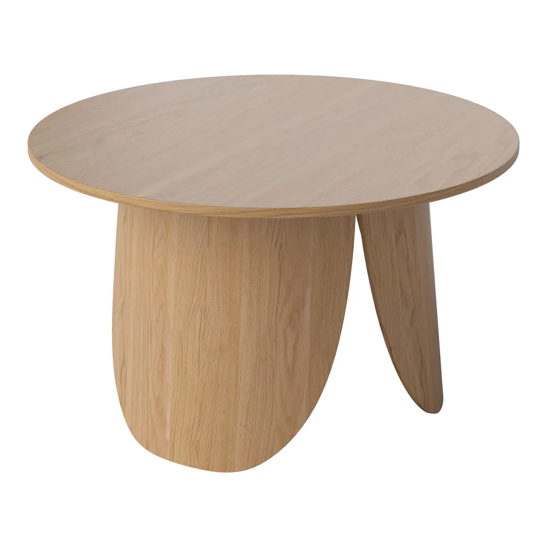 Peyote Coffee Table