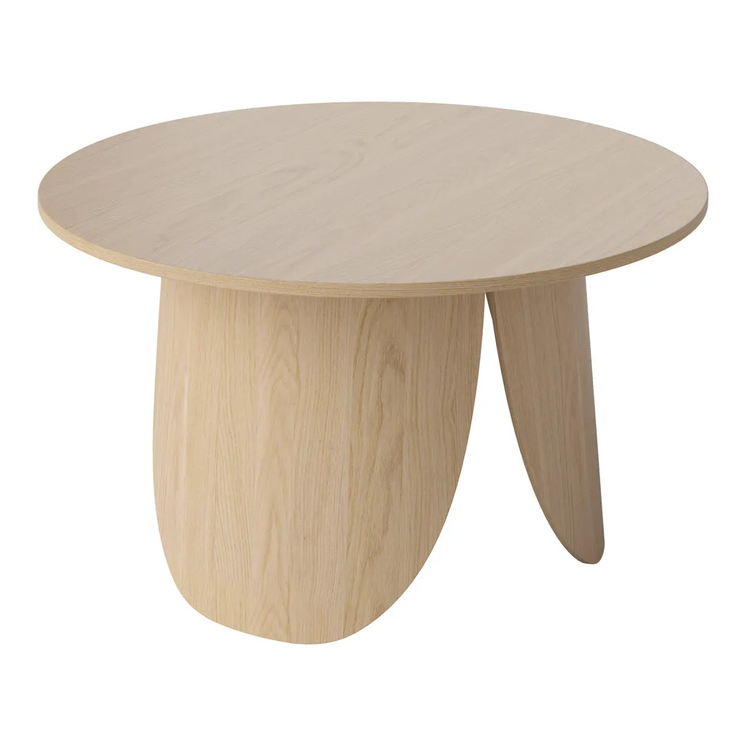 Peyote Coffee Table