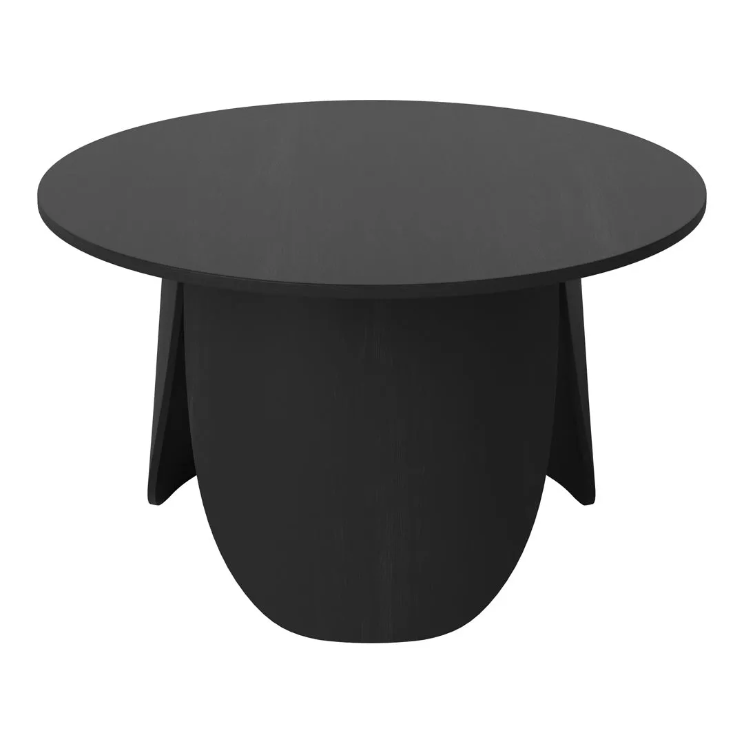 Peyote Coffee Table