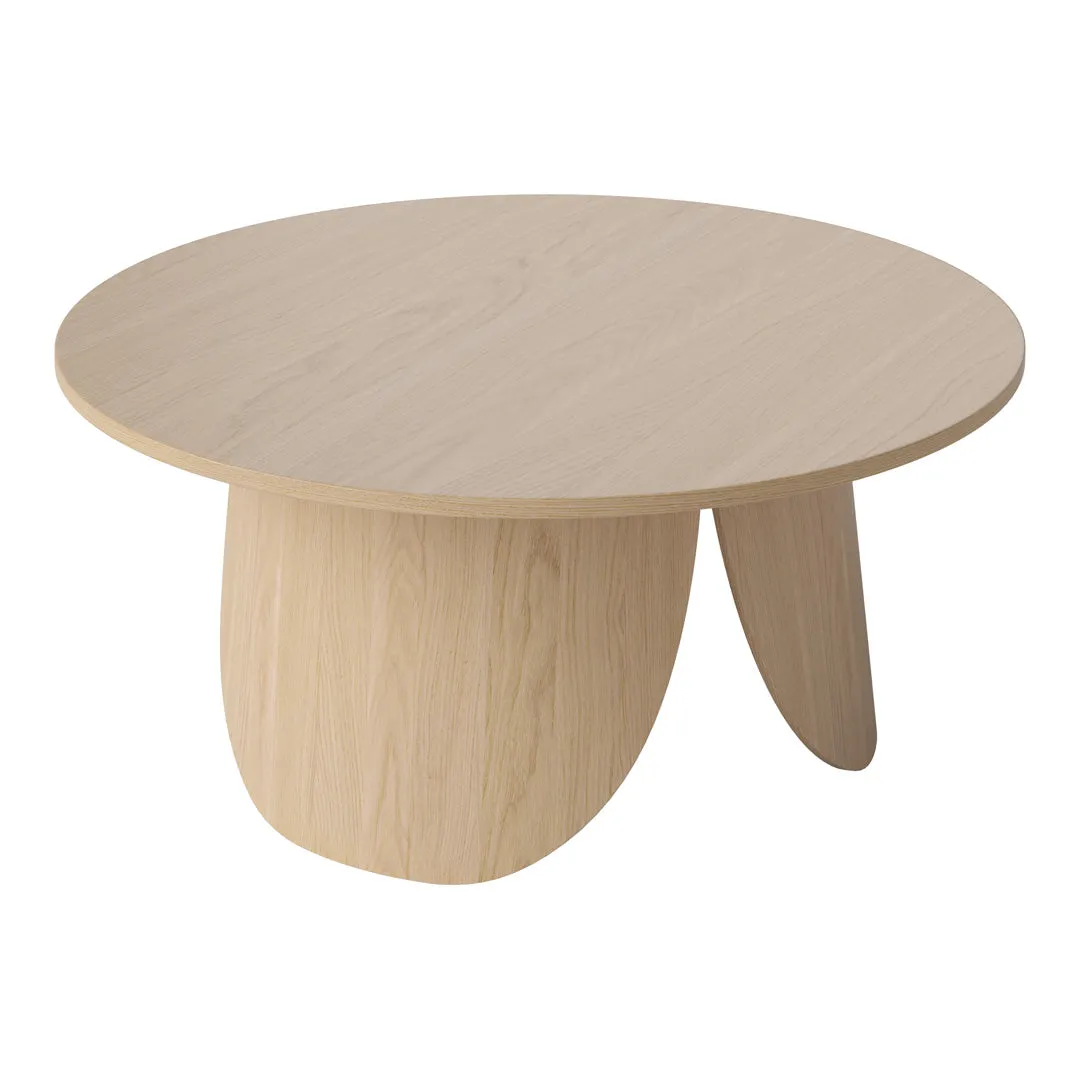 Peyote Coffee Table