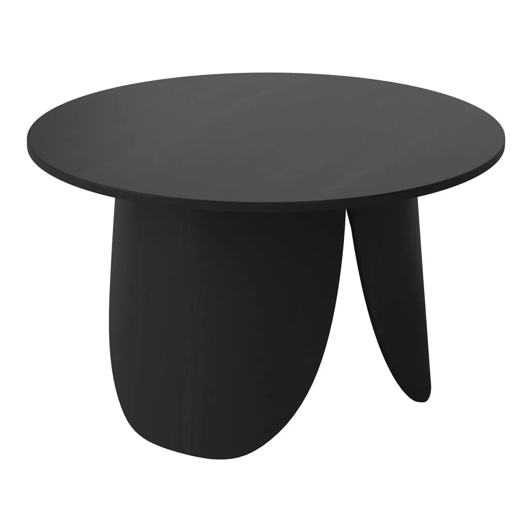 Peyote Coffee Table