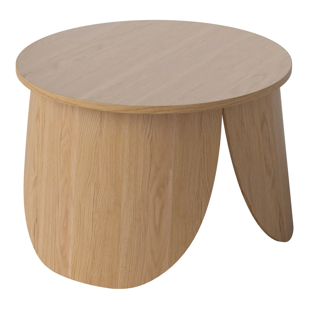 Peyote Coffee Table