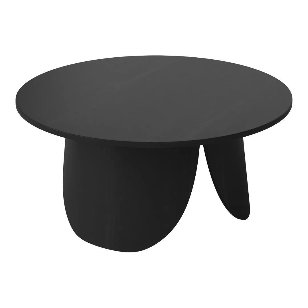 Peyote Coffee Table