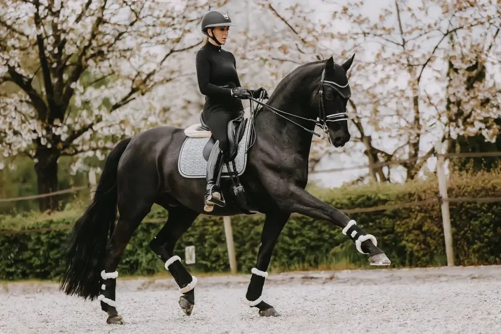 Pied de Poule Saddle Pad | Kentucky Horsewear