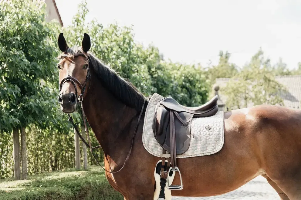 Pied de Poule Saddle Pad | Kentucky Horsewear