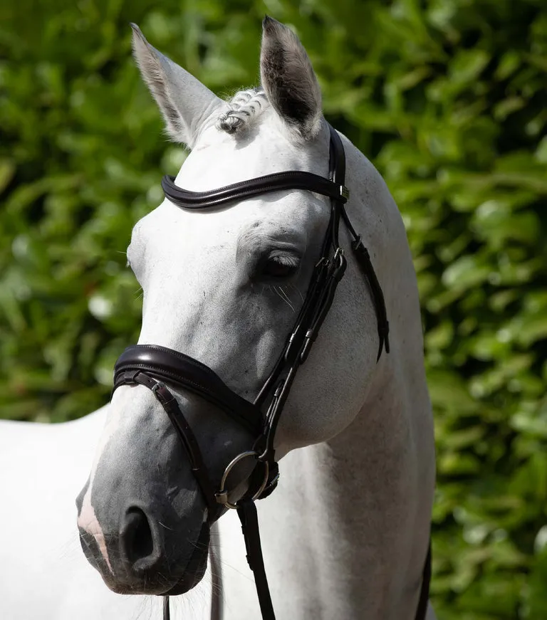 Premier Equine Rizzo Anatomic Snaffle Bridle with Flash Brown