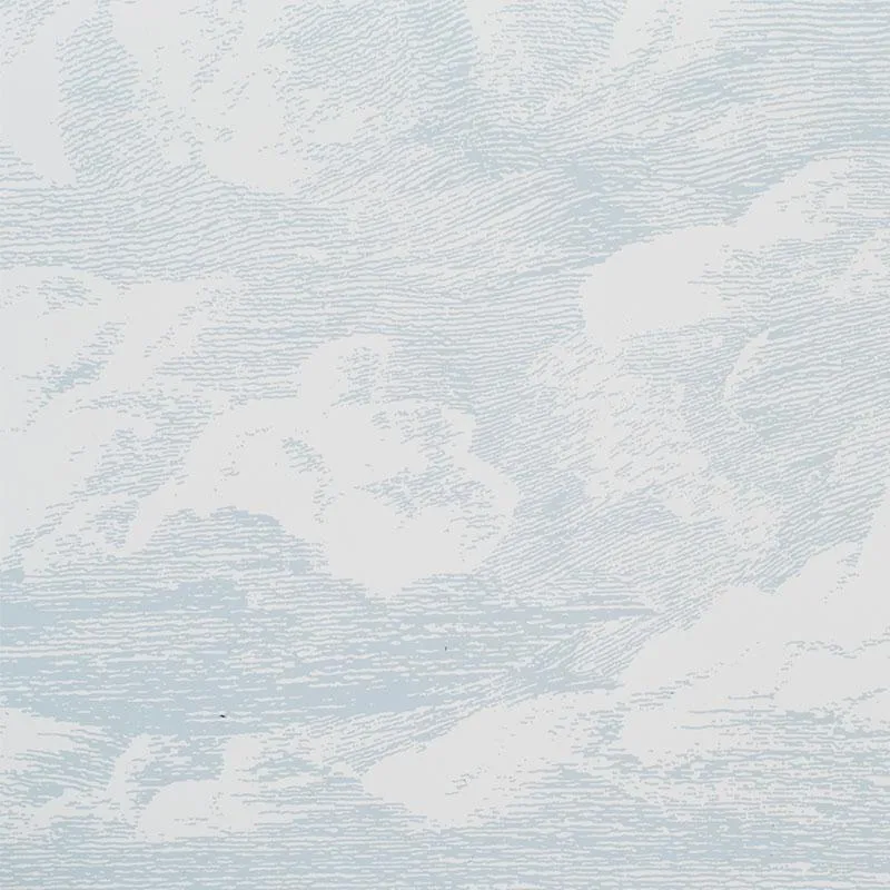 Schumacher Cloud Toile Wallpaper