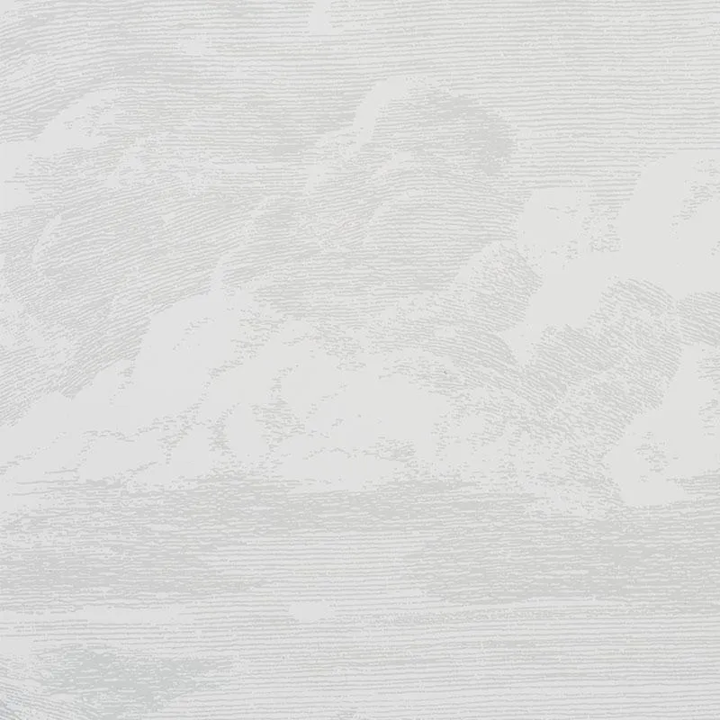 Schumacher Cloud Toile Wallpaper