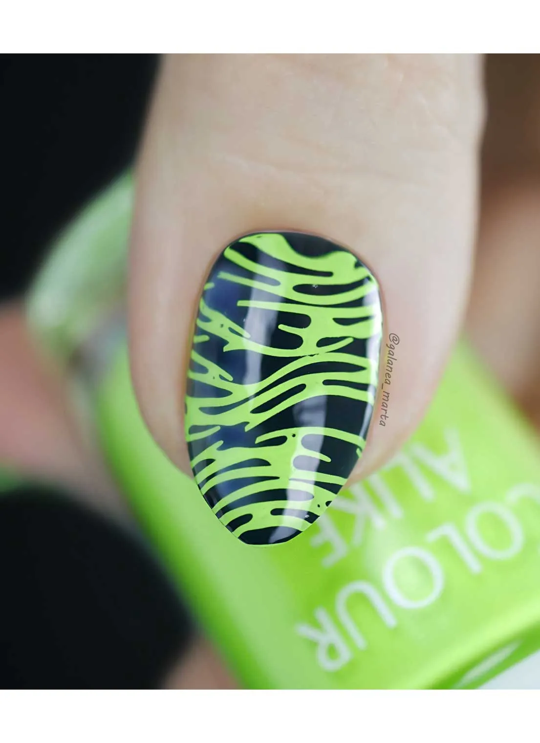 Simply Organic 2 -  Uber Chic Stamping Plate