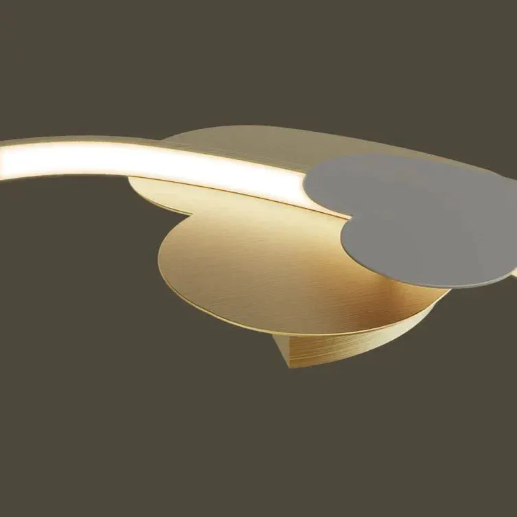 Sophie's Modern Simple Copper Heart-shaped LED Room Ceiling Lamp