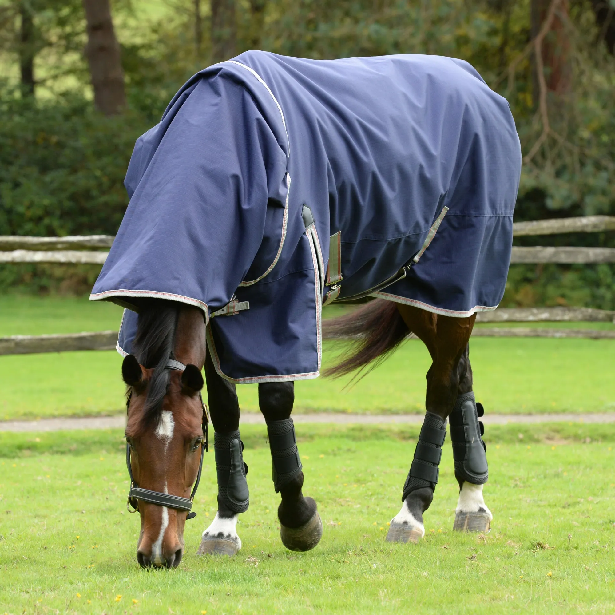 Weatherbeeta Comfitec Essential Detach-A-Neck Lite Plus Turnout Rug